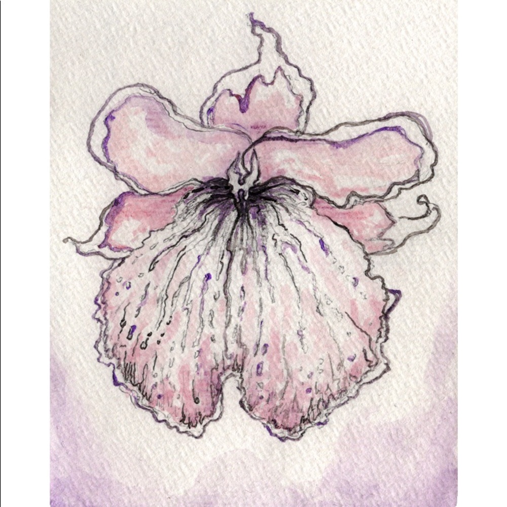 Orchid Watercolor (Miltonia)